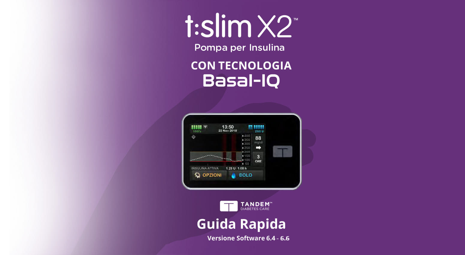 Guida rapida 6.6